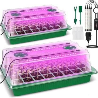 EcoHouse Gemination Tray